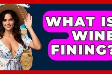What Is Wine Fining? - France Fact File