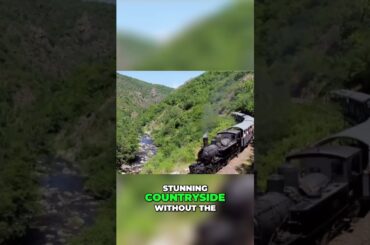 Ride a Magical Steam Train Through French Wine Country!