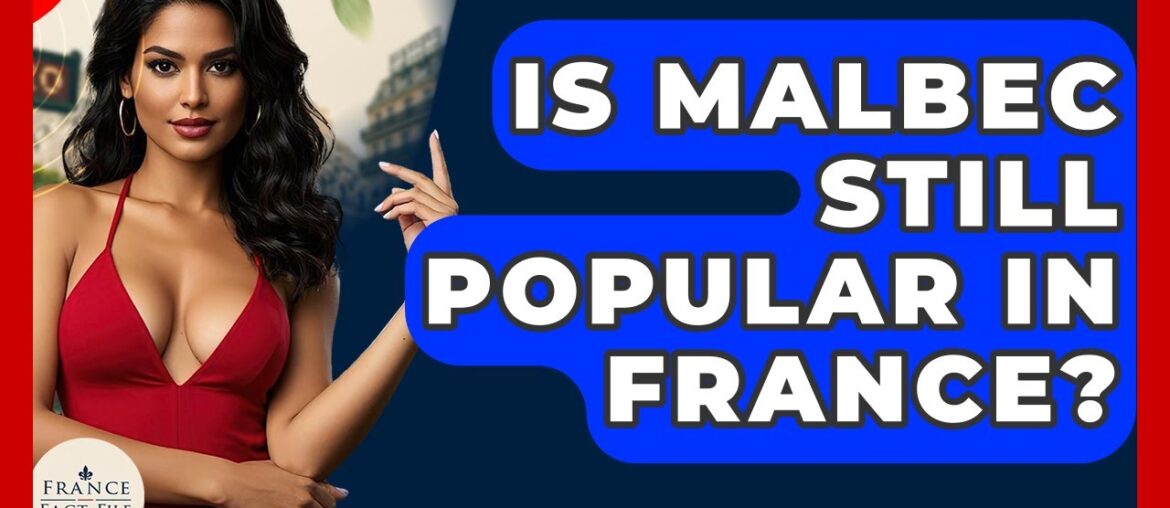 Is Malbec Still Popular In France? - France Fact File