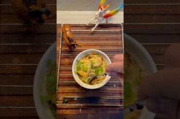 Better than French onion soup! Recipe in description. #cooking #soup #easyrecipes #protein #healthy