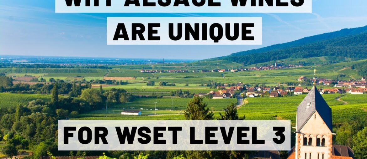 Alsace Wine Region Explained | WSET Level 3 | Climate, Geography & Grape Growing