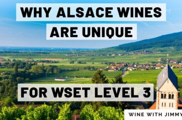 Alsace Wine Region Explained | WSET Level 3 | Climate, Geography & Grape Growing