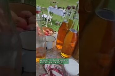 What Was Life Like For Peasants In 1930's France? #Shorts