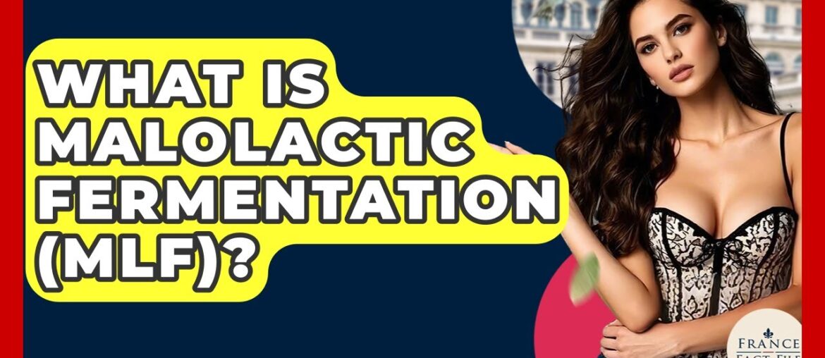 What Is Malolactic Fermentation (MLF)? - France Fact File