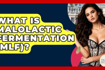 What Is Malolactic Fermentation (MLF)? - France Fact File