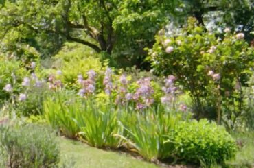 Cordelia de Castellane's Garden Seamlessly Blends with Nature