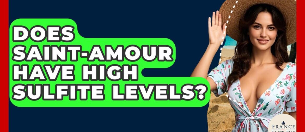 Does Saint-Amour Have High Sulfite Levels? – France Fact File Does Saint-Amour Have High Sulfite Levels? - France Fact File