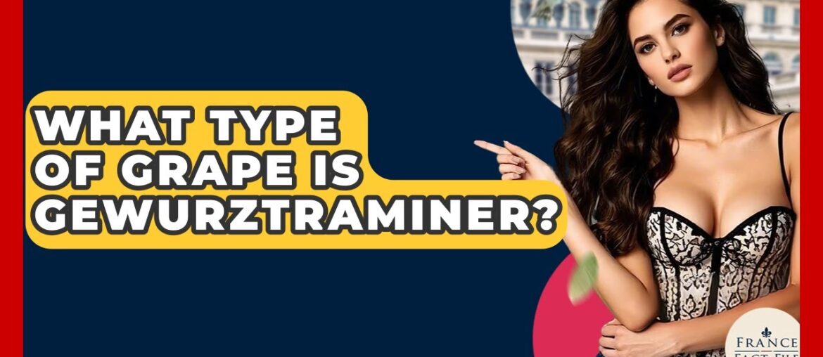What Type Of Grape Is Gewurztraminer? – France Fact File What Type Of Grape Is Gewurztraminer? - France Fact File