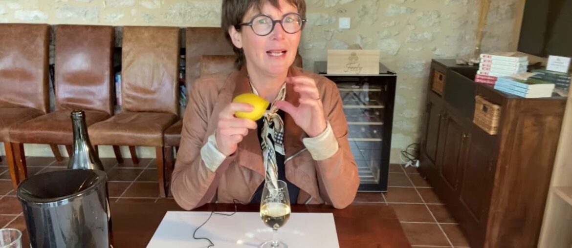 Virtual Discovery Wine Course - Module 1 sensory wine tasting