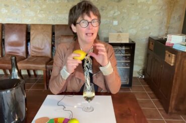 Virtual Discovery Wine Course - Module 1 sensory wine tasting