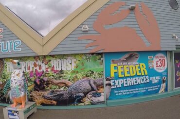 Seabirds & Stallings Fight Over Gourmet Burger And French Fries. Yes They Are Fighting For It.GP014