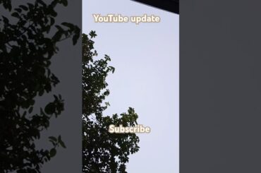 french Fries,Tea lover#trending #pakustaniFood#food #funny #love#shorts