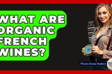 What Are Organic French Wines? - Western Europe Explorer