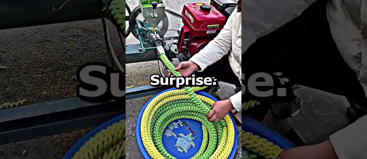 what's the world's strangest job that actually exists?