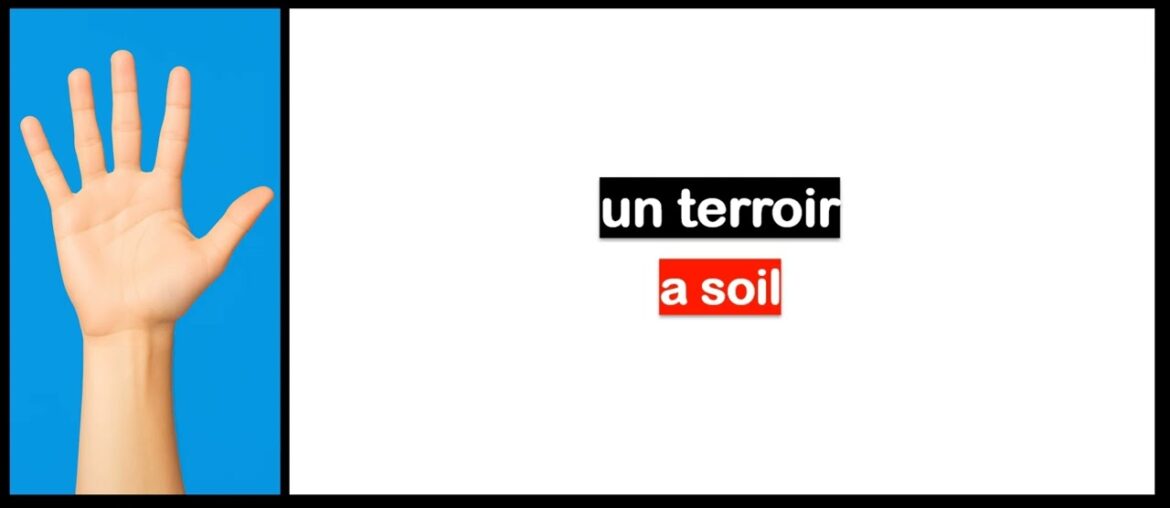 Learn French in 5 days I Vocabulary I Wine tasting room