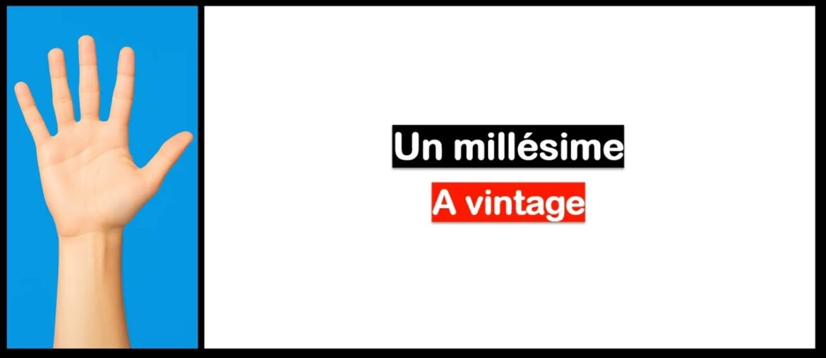 Learn French in 5 days I Vocabulary I Wine Cellar