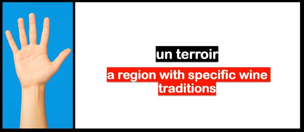 Learn French in 5 days I Vocabulary I Wine and Spirits Learn French in 5 days I Vocabulary I Wine and Spirits