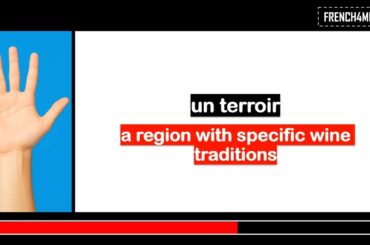 Learn French in 5 days I Vocabulary I Wine and Spirits