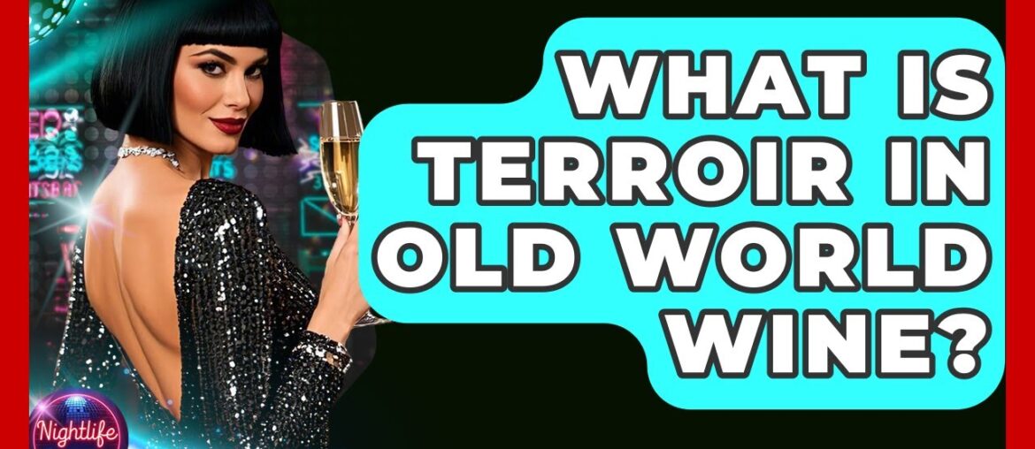 What Is Terroir In Old World Wine? - Nightlife Experiences