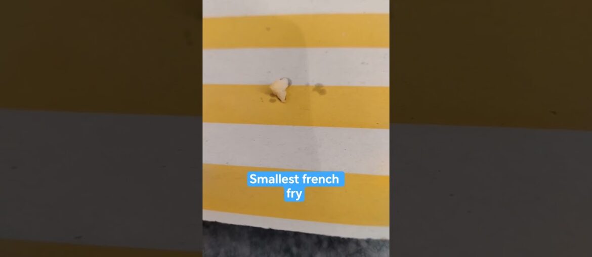 Smallest french fry #edit #shorts