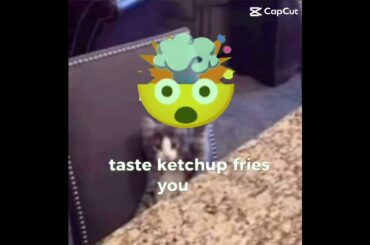 Ketchup French taste French fries fast ketchup on food burger #schnitzel