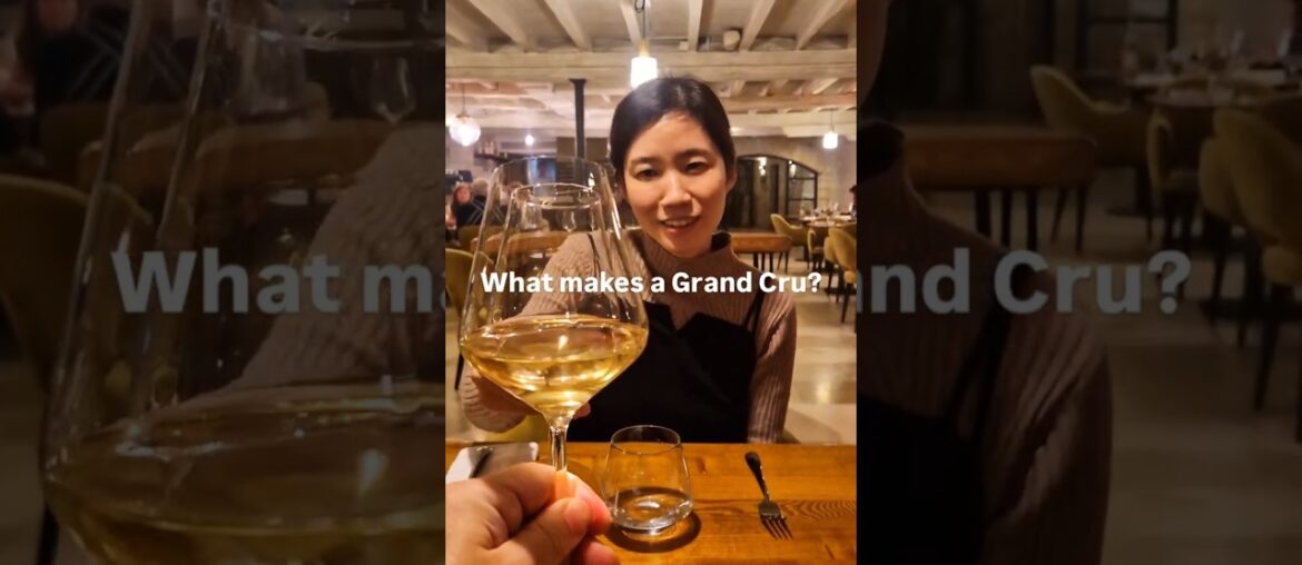 What makes a Grand Cru? #grandcru #chablis #chardonnay #wine #frenchwine #winelover #vineyards