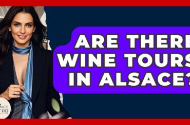 Are There Wine Tours In Alsace? - France Fact File