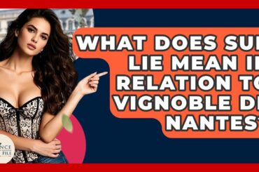 What Does Sur Lie Mean In Relation To Vignoble De Nantes? - France Fact File