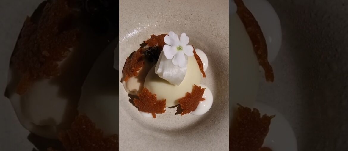 Michelin Fine-Dining.. Gastro by Elemento #michelinrestaurant #finedining #porto #portugal