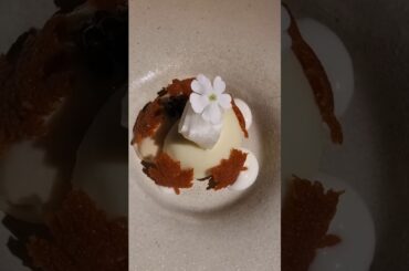 Michelin Fine-Dining.. Gastro by Elemento #michelinrestaurant #finedining #porto #portugal