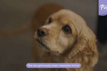 Les Repas Plaisir CHEF - French Cuisine for cats and dogs - 16:9 [ST UK]