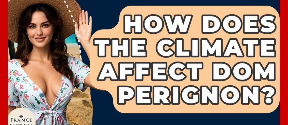 How Does The Climate Affect Dom Perignon? – France Fact File How Does The Climate Affect Dom Perignon? - France Fact File