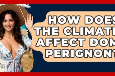 How Does The Climate Affect Dom Perignon? - France Fact File