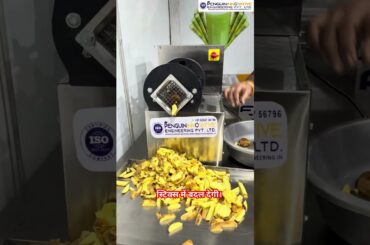 French Fries Machine | French Fries Making | Fully Automatic Machine | #trending #yt