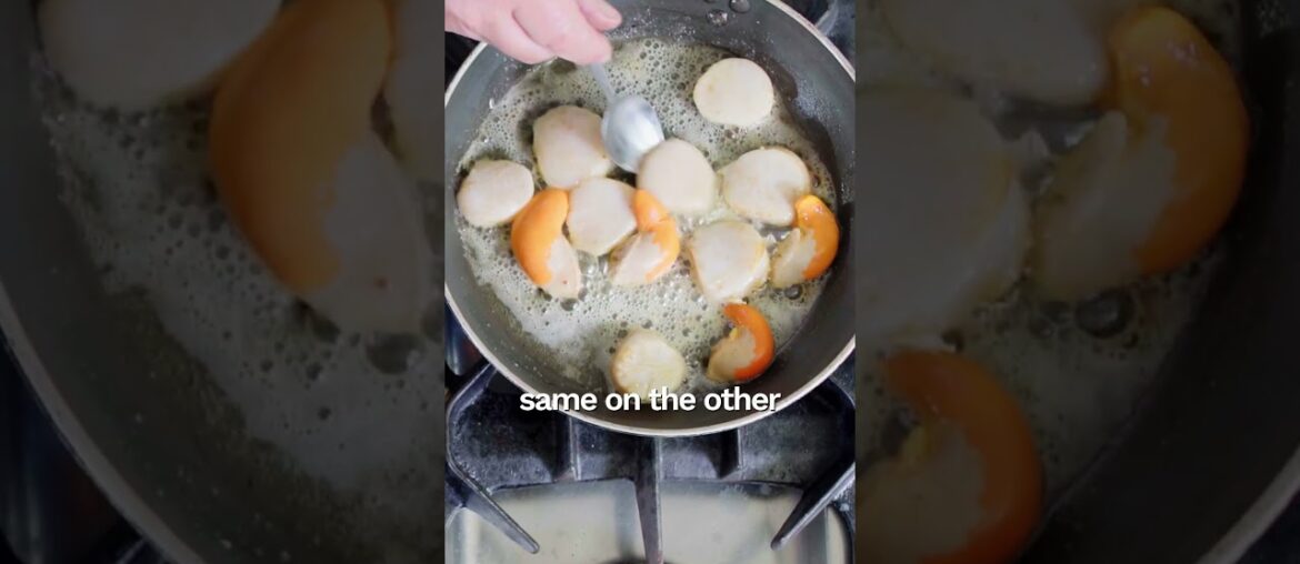 Pierre Koffmann shares his secret to perfect scallops #shorts #pierrekoffmann #cooking #scallops Pierre Koffmann shares his secret to perfect scallops #shorts #pierrekoffmann #cooking #scallops
