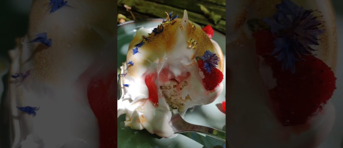 Classic french dishes I made and they're plant based! Day 1