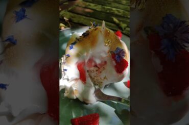 Classic french dishes I made and they're plant based! Day 1