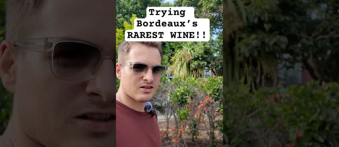 Trying the RAREST wine in Bordeaux #naturalwine #winetasting