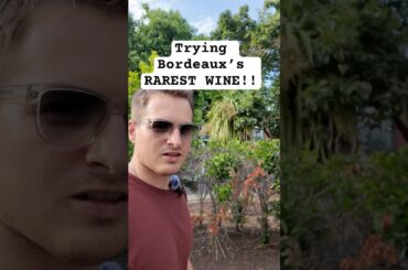 Trying the RAREST wine in Bordeaux #naturalwine #winetasting