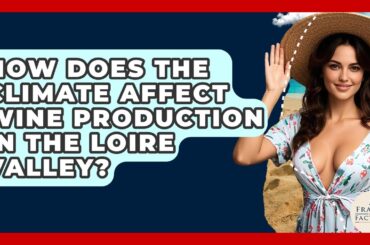 How Does The Climate Affect Wine Production In The Loire Valley? - France Fact File