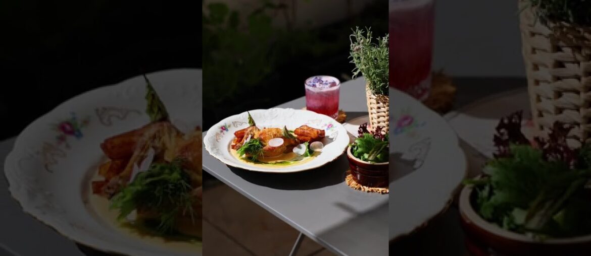 Gourmet Chicken With Sauce Served in Sunny Restaurant Terrace - 4K stock video