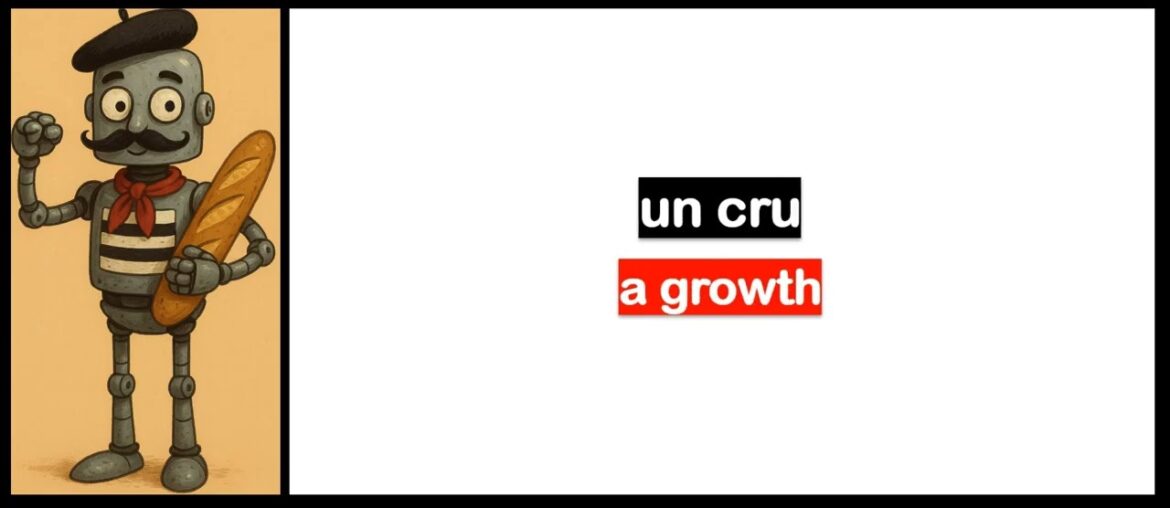 French lesson I Vocabulary I Wine tasting room