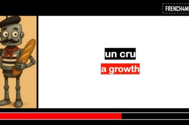 French lesson I Vocabulary I Wine tasting room