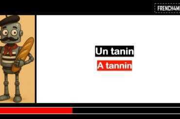 French lesson I Vocabulary I Wine Tasting