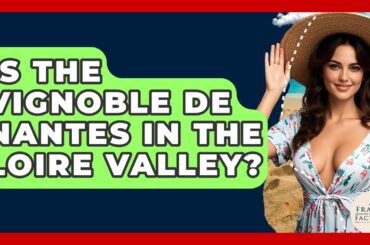 Is The Vignoble De Nantes In The Loire Valley? - France Fact File