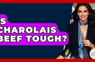 Is Charolais Beef Tough? - France Fact File