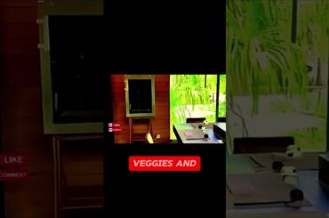 Why Is Everyone Talking About This Secret Island Dinner?