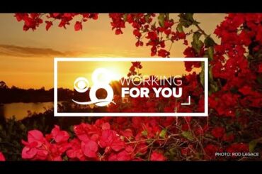 Working For You | Stories of the San Diego community (July 25)