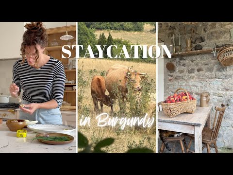 Taking a holiday in my own home and region of Burgundy France Taking a holiday in my own home and region of Burgundy France