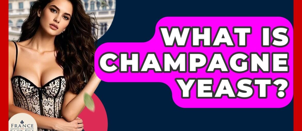 What Is Champagne Yeast? - France Fact File